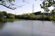 二ツ池