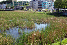 二ツ池