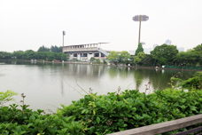 池から見える等々力競技場