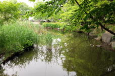 日本庭園