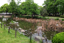 日本庭園