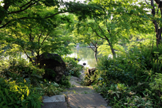 池の手前