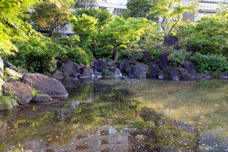 池