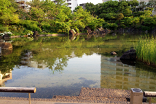 池