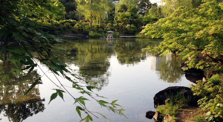 池全景