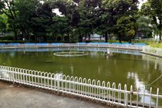 釣り池