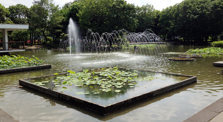 郷土の森公園全景