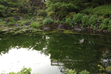 毛利庭園