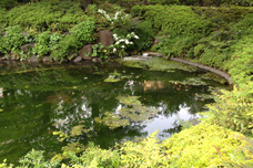 毛利庭園