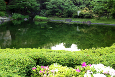 毛利庭園