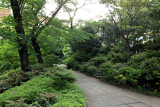 散歩道