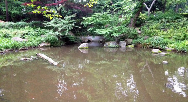 林試の森公園全景