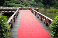 橋