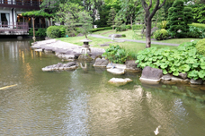 池