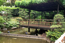 小屋